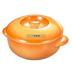 BAUSCHER(oEV)  LZ[ Wt 851-30 J[ 380ml 145×H51 LZ[ No.5064400