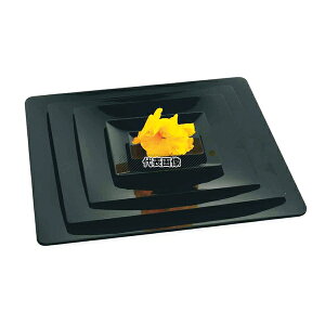 SOLIA �\���A �t���C�h �u���b�N PL20233 (10��) 160×160 160×160×H11 �r���b�t�F/���� No.5528400