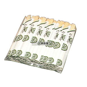 ]  Ԏd \ 100V 205  No.5583010