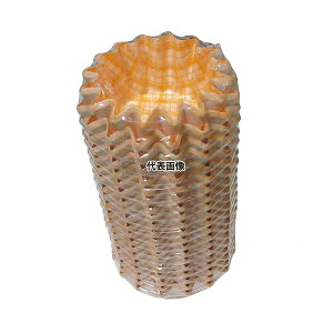 Ad~Y RREP[X (500) ی^ q}   H33 tBP[X No.5754790