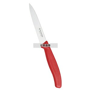 Victorinox rNgmbNX yeB[iCt gnRD 6.7731E 10cm S:214  No.6921470