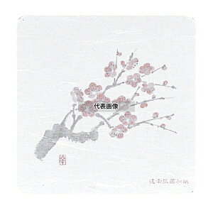 �a���R�[�X�^�[ �l�G �p�^ (50����) WCO-K2 �~ 95×95 ���C��/�o�[�p�i No.7019300