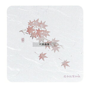 aR[X^[ lG p^ (50) WCO-K7 ~W 95×95 C/o[pi No.7019800