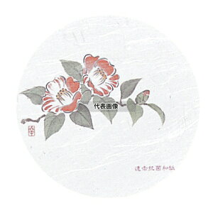 �a���R�[�X�^�[ �l�G �ی^ (50����) WCO-M9 �� ��95 ���C��/�o�[�p�i No.7021200