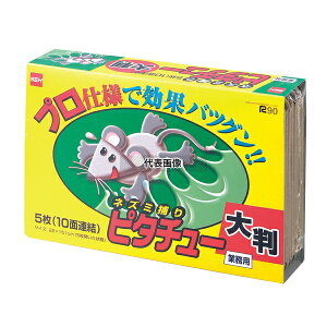 Zn[Wp USV[g lY~߃ s^`[ 唻 22×151cm(5J) Xܔi/hЗpi No.7798700