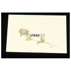 A[ebN ڎO ΃}bg N[ (100) WSS-6 AWTC (5~6) 264×390 opi No.7960000