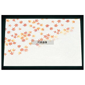 ԉ ڎO ΃}bg (100) HM-2 ~W 264×390 opi No.7965200