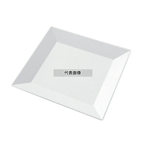 jVL ve pM 30 (10)  300×300×H22 ~[Օi No.8386200