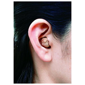 t@~[ECt jREGV[ fW^Ȍ^⒮ EZbg [a31958] t@~