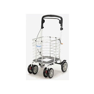 t@~[ECt eʃVbsOSDX {̂̂[48304] Vo[J[ VjA U s⏕ t@~