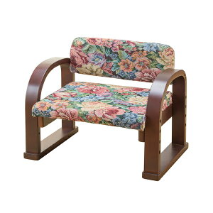 VRؗy֎q { Su [0409410] | オ⏕ オ₷ Ђ Gɂl  ֎q Ⴂ ֎q a֎q