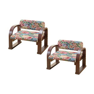 VRؗy֎q { 2rg Su [0409510] | オ⏕ オ₷ Ђ Gɂl  ֎q Ⴂ ֎q