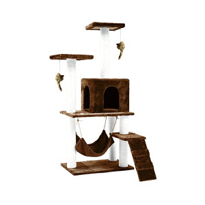 t@~[ECt uLbg^[ R[q[ [a3428620] | Lpi Vя ܂Ƃ Qꏊ B nbN tlf