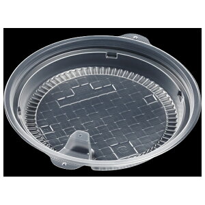 GtsR T-DLV 20M-1 PPNT  50 409P0