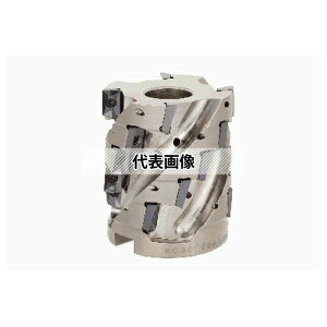 タンガロイ TAC柄付フライス TLS11 TLS11R050M22.0E04