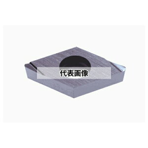 �^���K���C ����p G���|�W�C���T�[�g DCGTR/L-W10 DCGT070204L-W10:NS9530×10�Z�b�g