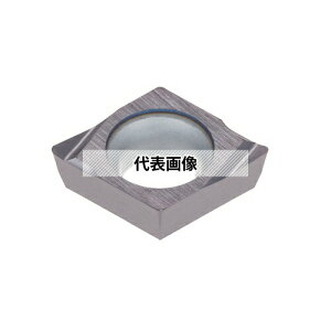 �^���K���C ����p G���|�W�C���T�[�g EPGTR/L-W08 EPGT040104L-W08:NS9530×10�Z�b�g