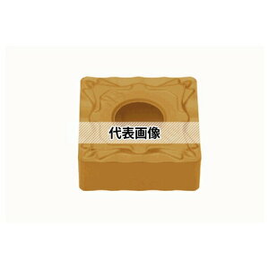 �^���K���C ����p M���l�K�C���T�[�g SNMG-NS SNMG120408-NS:T9215×10�Z�b�g