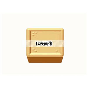 ^KC p M|WCT[g SPMR-CM SPMR120304-CM:T5115×10Zbg