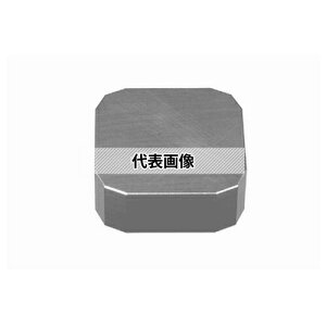 �^���K���C �]��p C.E���C���T�[�g SNCN/SNKN/SNKF 42Z SNCN43ZTN:UX30×10�Z�b�g
