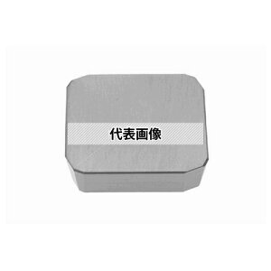 �^���K���C �]��p C.E���C���T�[�g SPAN/SPCN/SPEN/SPKN 42Z SPCN42ZFR:TH10×10�Z�b�g