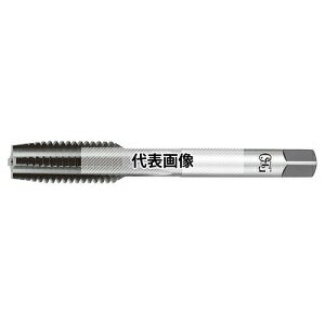 I[GXW[(OSG) nh^bv I[o[TCYp EX-OST EX-OST HSE #3 STD+3 M16X1.5 (