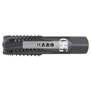 �I�[�G�X�W�[(OSG) �Ǘp�e�[�p�^�b�v �C���^�[���b�v�` EX-IRT EX-IRT HSE 2.5P G 3/8-18NPT