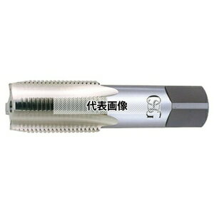 �I�[�G�X�W�[(OSG) �Ǘp���s�^�b�v ���ޗp CPM-SPT CPM-SPT 4P 2 PF1/8-28 (8309002)