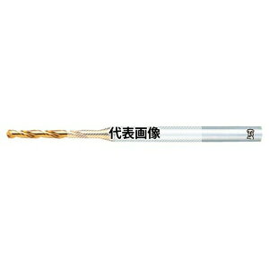�I�[�G�X�W�[(OSG) EX�S�[���h�h���� ��ʉ��H�p �~�f�B�A���` EX-GDN EX-GDN 5.25 (8607525)