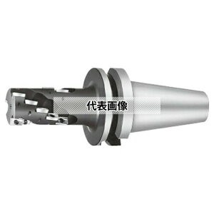 �I�[�G�X�W�[(OSG) OSG-WALTER �|�[�L���p�C�� �l�I BT�V�����N F3038B 63XBT50X84 (8003160)