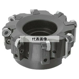 I[GXW[(OSG) OSG-WALTER ~[OJb^ IN^S^Cv F2010M P5E43R20012J (8004489