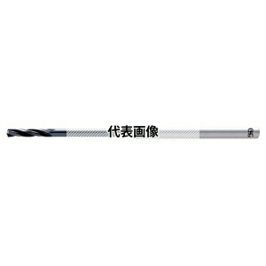 �I�[�G�X�W�[(OSG) ���d�x�|�p ���d�h���� 3�n �����O�l�b�N�` FHL-GDTS FHL-GDTS 2.5X30 (8569025)