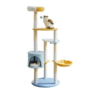 㓡ƋY Lbg^[ CAT-TW-AQUA ANA ybgpi ybgpƋ | L ^s rO Lpi ˂ lR X u 