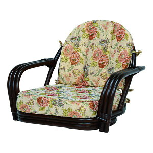  ]֎q _[NuE RZ-931DBR [2101692700]