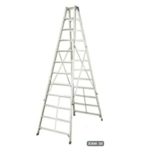 ���J��H�� ��p�r�� ���ڃ^�C�v XAM-36b(���^��:XAM3.0-36) �A���~�� [�����ʓr�����ς�][�@�l����]