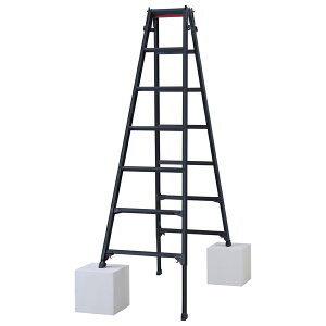 JH ubN A~͂pr (10912) A~ ^b`o[ RYZB-21a [@l]