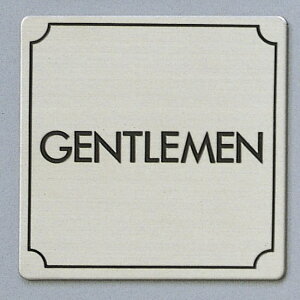 @TCv[g@wGENTLEMENx@FS893-17@80mm×80mm×1mm@XeXSUS304wAC@HGb`Oe[vt