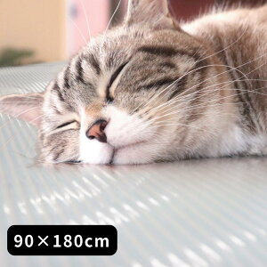 y2Zbgz3size { ybg L h Ђ}bg 45×60cm 60×90cm 90×120cm | ybg}bg ⊴ Ђ}bg N[}bg ⊴}bg h  L ЂV[g 