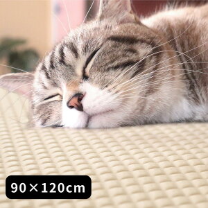 y2Zbgz3size { ybg  h}bg 45×60cm 60×90cm 90×120cm | ybgp }bg ԊO ۉ ybg}bg h dsv p Lp zbg}bg ΍ h