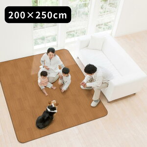 3size { ybgp hJ[ybg 185×120cm 185×185cm 200×250cm y݌ɗLz| h O J[ybg1.5 2 3 ` ` R h LYh~ zbgJ[ybgJo[ ~O _Cj