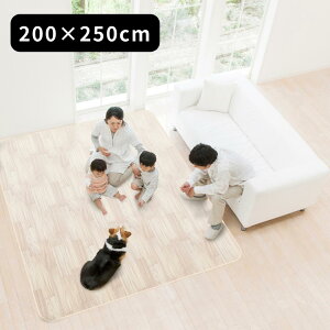 3size { ybgp hJ[ybg 185×120cm 185×185cm 200×250cm y݌ɗLz| h O J[ybg1.5 2 3 ` ` R h LYh~ zbgJ[ybgJo[ ~O _Cj