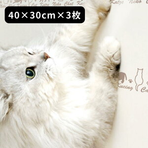 3type { cیV[g R[i[p hAp ӂܗp 40×30cm×3 40×180cm 80×180cm y݌ɗLz| L ǎیV[g ͂ ܂Ƃh~ ǎ {{ ΍ hA  h~ \Ă͂