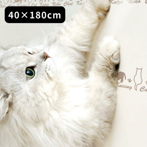 3type { cیV[g R[i[p hAp ӂܗp 40×30cm×3 40×180cm 80×180cm y݌ɗLz| L ǎیV[g ͂ ܂Ƃh~ ǎ {{ ΍ hA  h~ \Ă͂
