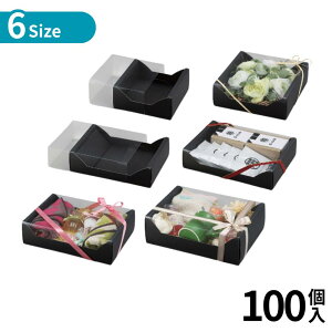 Iׂ6size 100 ubN X[u {bNX | v[g X[ut bsO  Mtg{bNX  Mtg bsO  pbP[W Mtg 蕨  