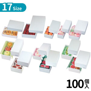 Iׂ17size 100 {bNX p[ |    Ԃǂ ʕ  t[c o  zp p Mtg l i{[ Εp p  bsOpi _