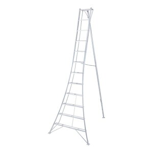 JHƁ@Orr@GSC-360a@(17852)@O[Xebv@A~@[@l]