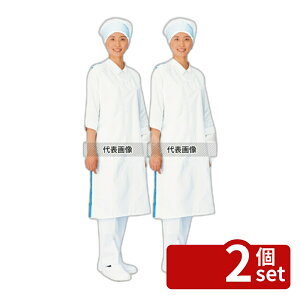 �y2�Z�b�g�z�Z���V�A �G�v�������i�V (�チ�b�V��) E-1100-2 �O���[�� 1000×570 ���j�t�H�[�� No.1168900