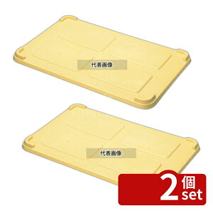�y2�Z�b�g�zRISU(���X) PP �R���e�i�[�W ����p �A�C�{���[ 698×438×H32mm �W No.0316700