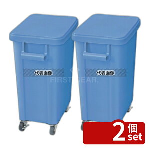 �y2�Z�b�g�zRISU(���X) �~�[�p�L���X�^�[�y�[��(�r����t) 45L �u���[(B) 45L 505×305×H595mm No.0559300