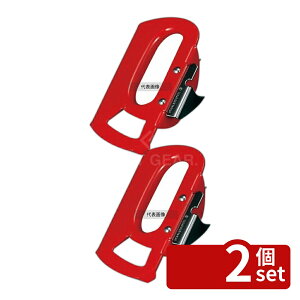 �y2�Z�b�g�z�V�l�ЃK���W�[�ʐ� �� #100 (80×55mm) 80×55 �ʐ؂� No.0739700